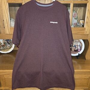 NWOT Patagonia tee